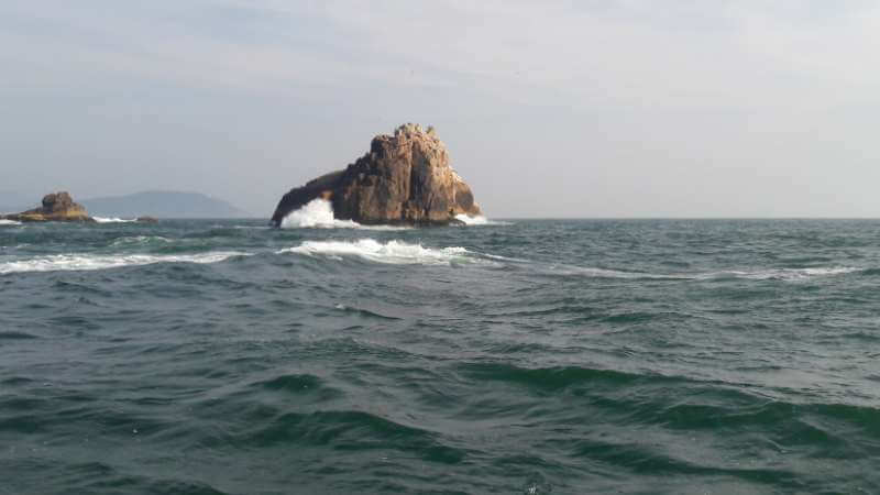 Ilha Moleques do Norte em Floripa