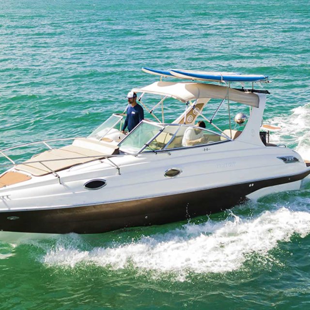 Triton 295.