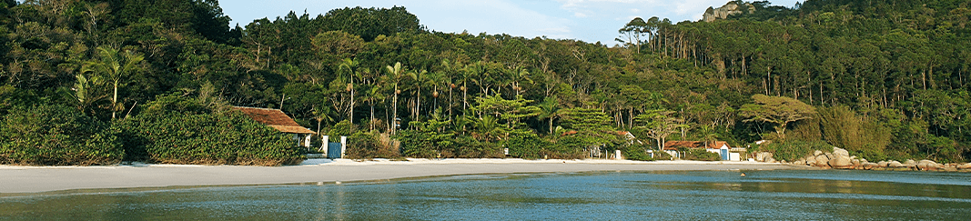 praia do tingua 2020