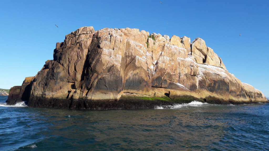 Ilha do Badejo em Florianópolis