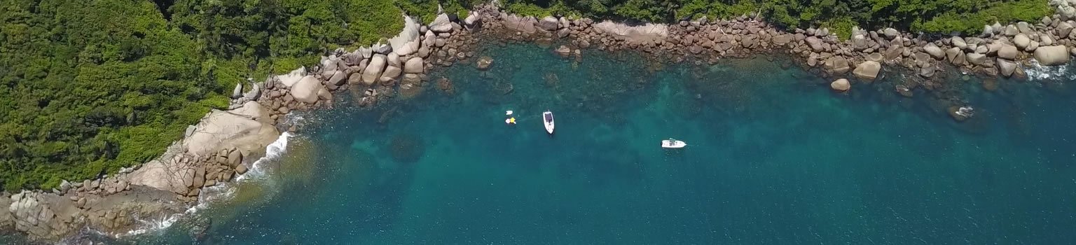 Ilha do Arvoredo em Florianópolis