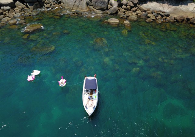 Ilha do Arvoredo em Florianopolis